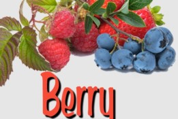 Berry Blast Energy Tea Kit