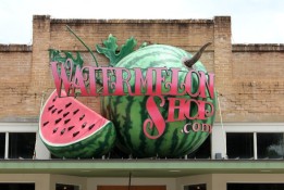 Watermelon Thump Energy Tea Kit